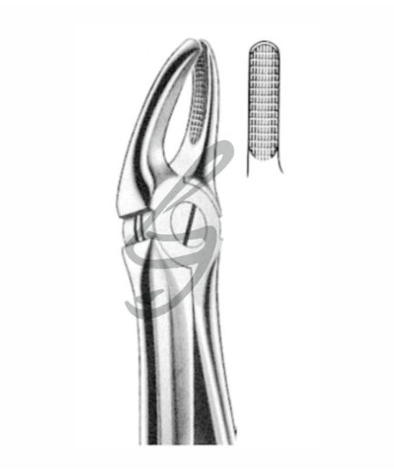 Zahnzange Fig 7