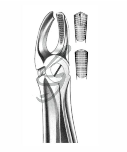 Zahnzange Fig 17