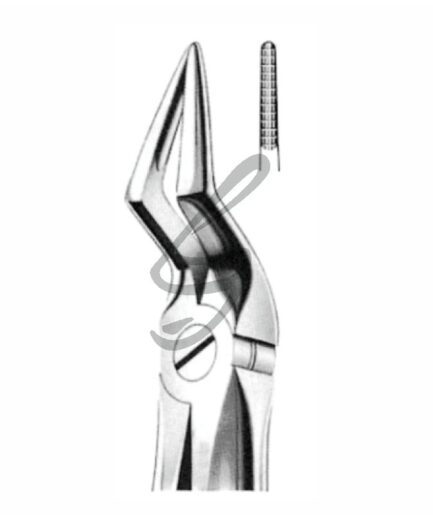 Zahnzange Fig. 51A