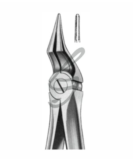 Zahnzangen Fig 197