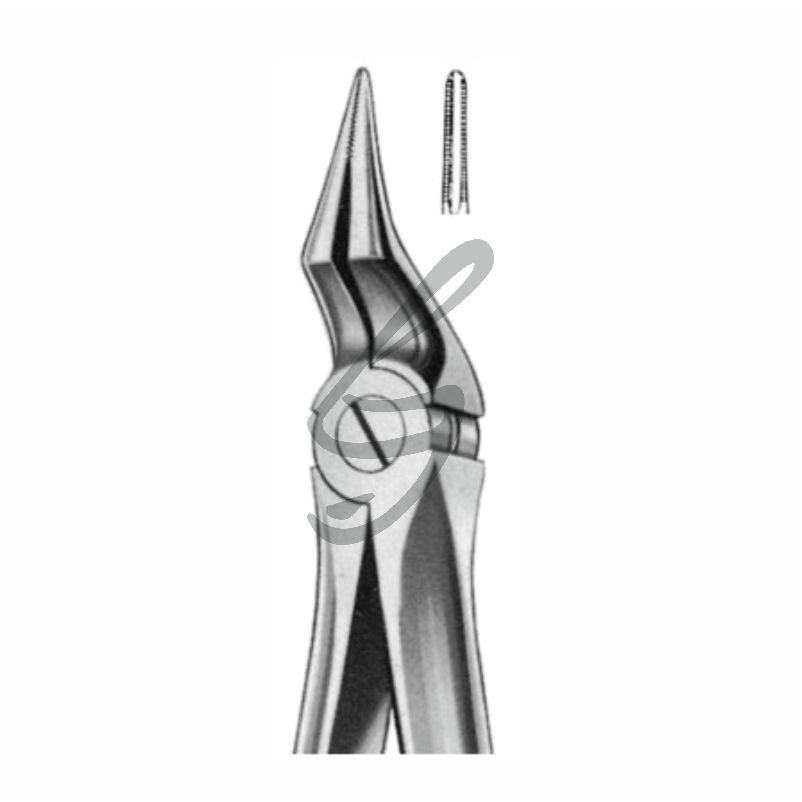 12-44-011 - Zahnzangen Fig 197 Zahnzangen Fig 197