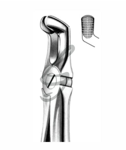 Zahnzange Fig 79A