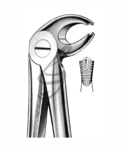 Zahnzange Fig 22