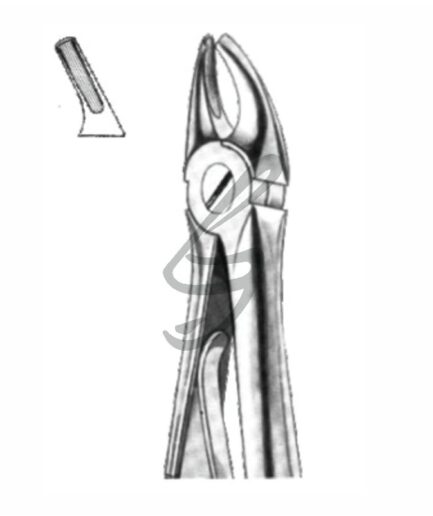 Kinder-Zahnzange Fig 139