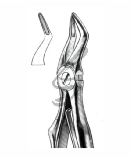 Kinder-Zahnzange Fig 51S